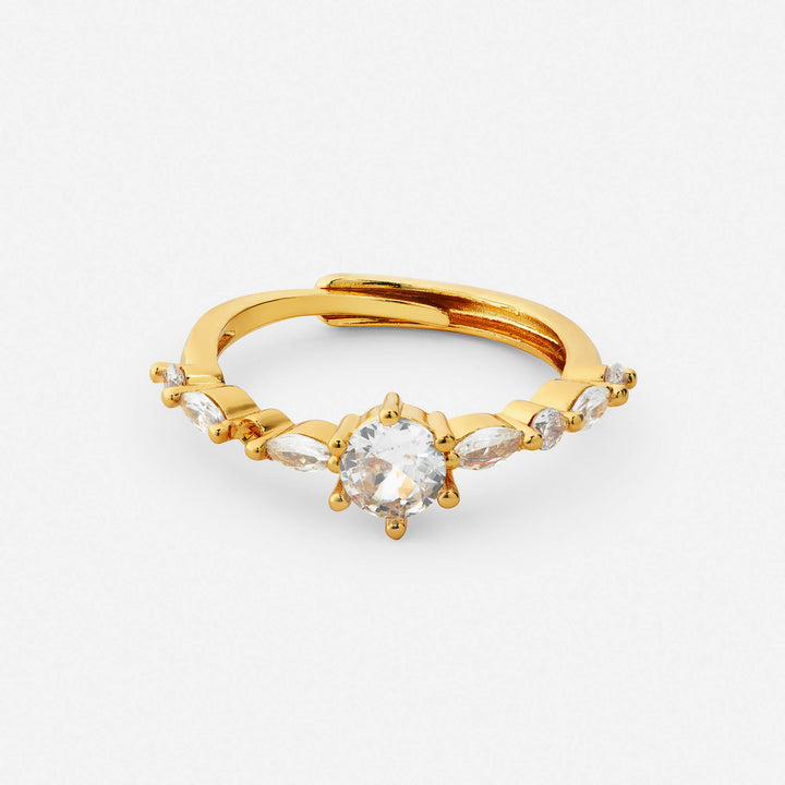 Nicole Ring