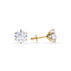 Tera earrings | gold